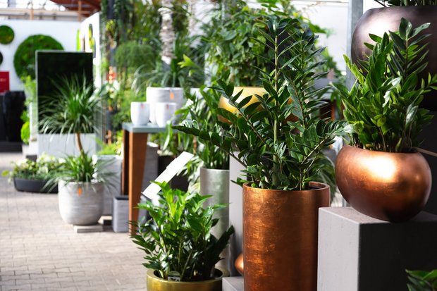Ruof Showroom Esslingen: kreative Pflanzenlösungen und dekorative Begrünungen